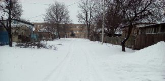 Олександрійщину засипало снігом (ФОТОРЕПОРТАЖ)