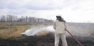В Олександрійському районі вчора тричі гасили сухостій та сміття