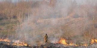 Рятувальники знову гасили сухостій на Олександрійщині