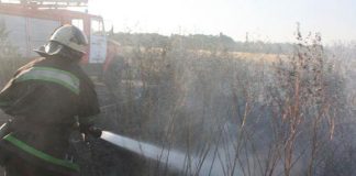 Упродовж тижня на Олександрійщині сталися три пожежі
