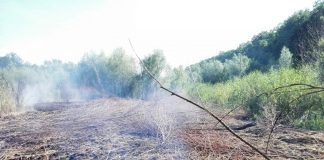 На вихідних олександрійські надзвичайники гасили сміття та суху траву