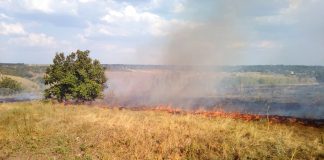 На Олександрійщині рятувальники п’ять разів виїздили на пожежі