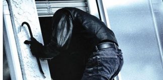Банда місцевих злодіїв залякала Марто-Іванівку
