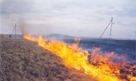 На Олександрійщині ліквідовували пожежі сухої трави