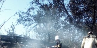 На Олександрійщині рятувальники приборкали пожежу на території приватного домоволодіння
