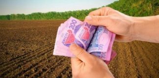 Декларацію з плати за землю олександрійцям слід подати не пізніше 20 лютого
