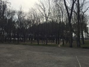 IMG_1752