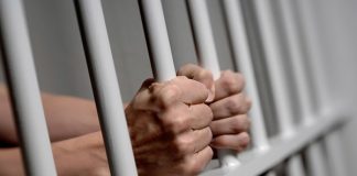 За грабежі та крадіжки з дачних будинків затримали двох мешканців Кіровоградщини