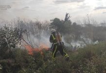 Олександрійські рятувальники приборкали вогонь, що охопив гектар сухої трави